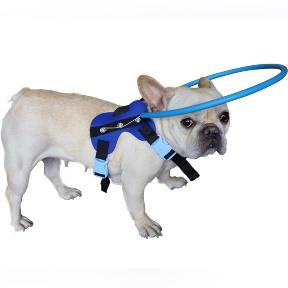 Pet Anti-Collision Ring for Protection